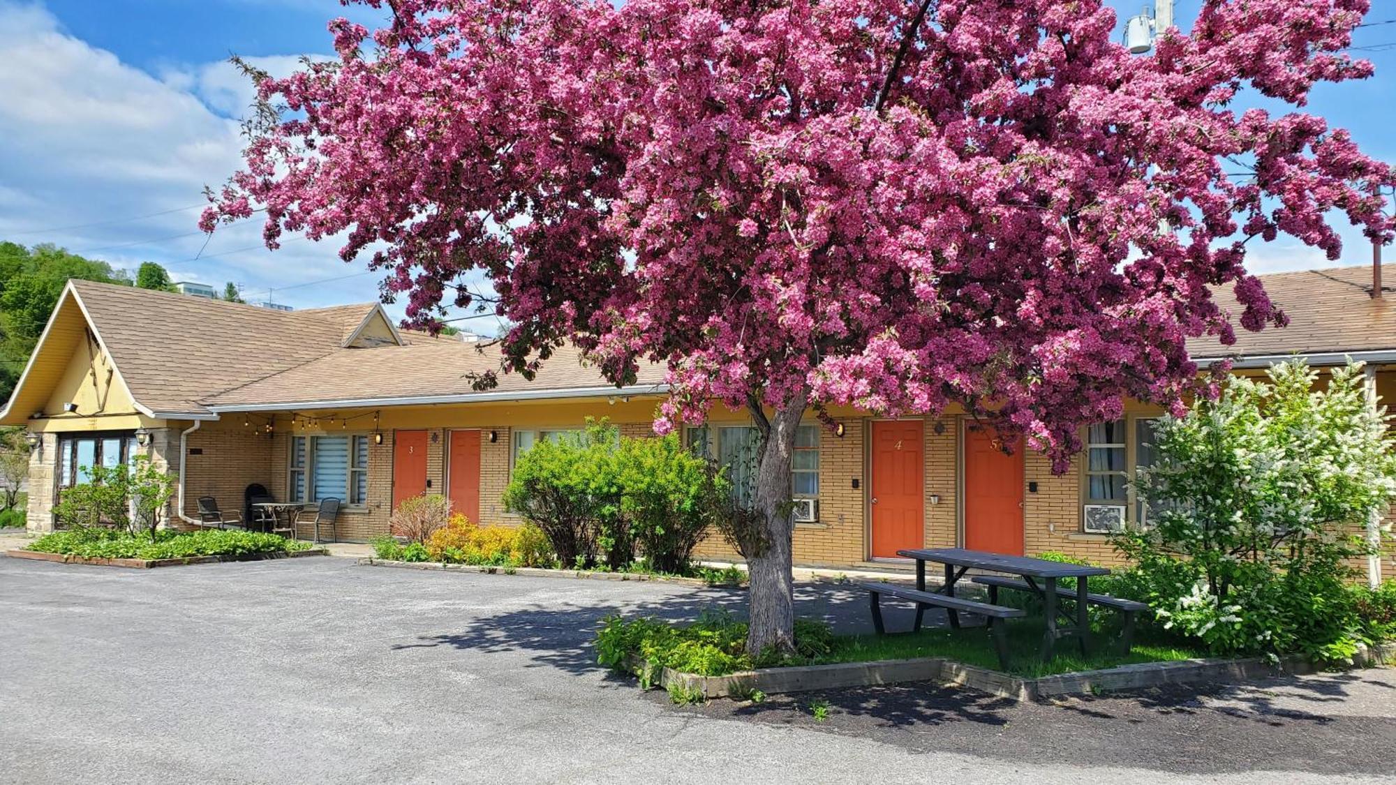 Lofts Fleuve Et Montagnes Motel Sainte-Anne-de-Beaupré Eksteriør bilde